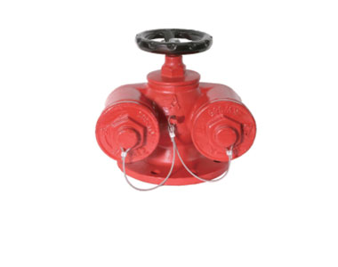SQD150-1.6A 多用式消防水泵接合器