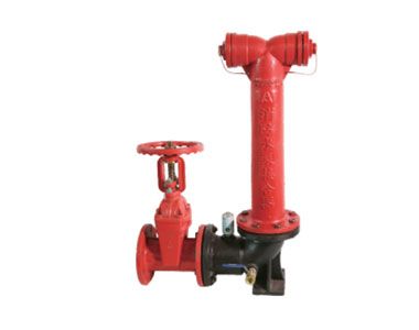 地上式消防水泵接合器 SQS100-1.6A